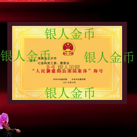 中組部人民滿(mǎn)意的公務(wù)員集體獎(jiǎng)牌證書(shū)